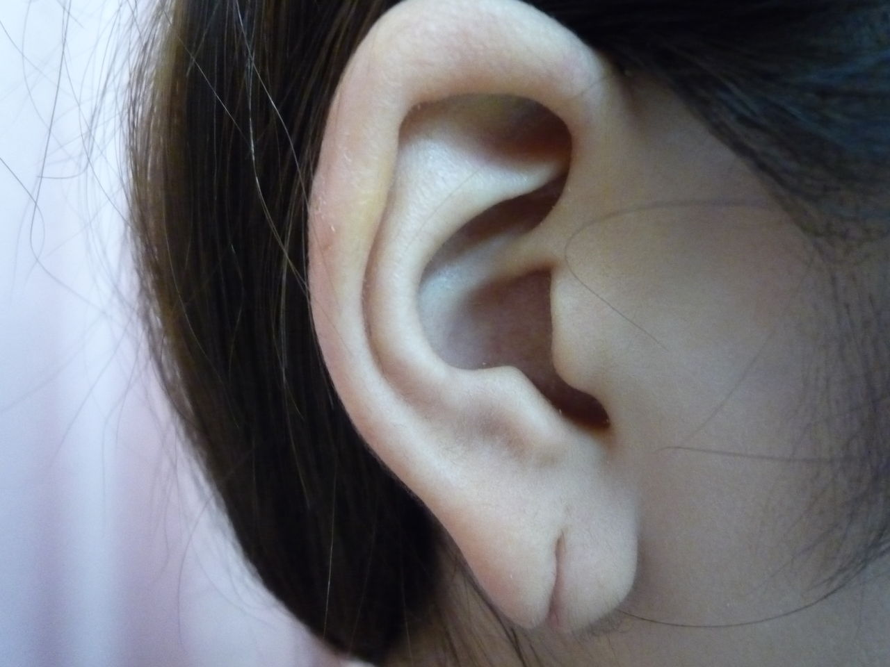 耳たぶ 二 つ に 割れ て いる