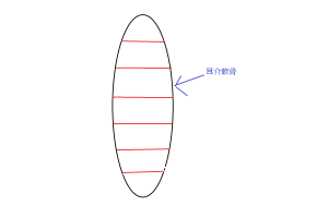 耳介軟骨