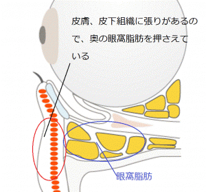 eye_kuma_i_01