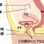 最近の婦人科施術事情