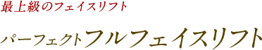 最上級のフェイスリフト パーフェクトフルフェイスリフト