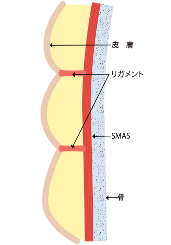 皮下剥離の基準範囲