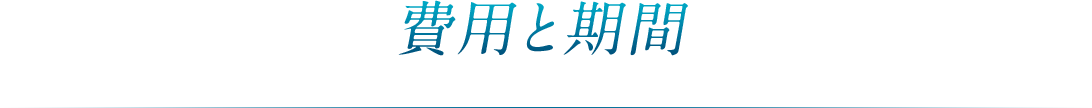 費用と期間