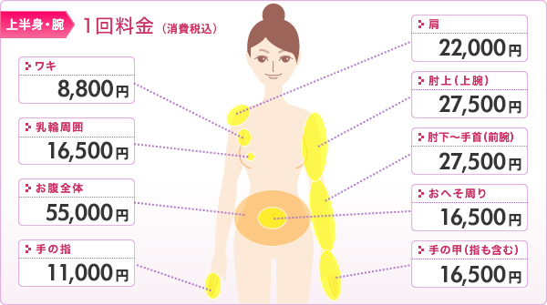 医療レーザー脱毛 施術部位