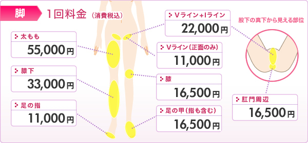 医療レーザー脱毛 施術部位