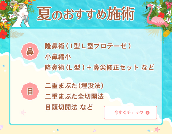 初夏のおすすめ